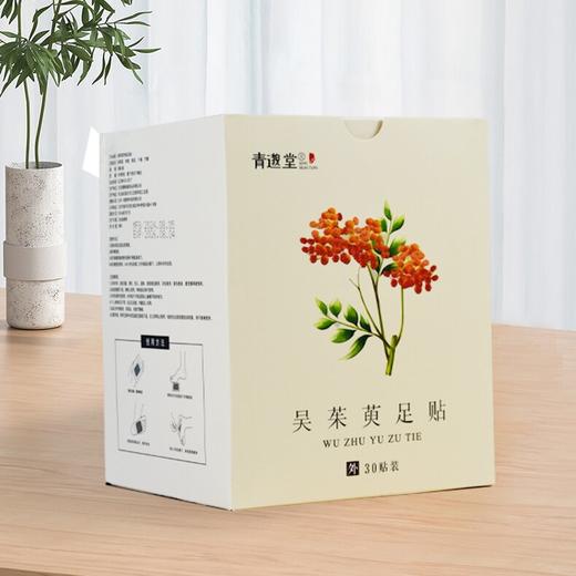吴茱萸足贴  草本研制，暖从足下生  两个规格可选 商品图0