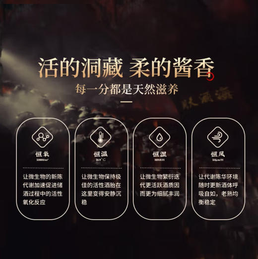 53°丹泉洞藏（15）第三代 500ml 商品图5