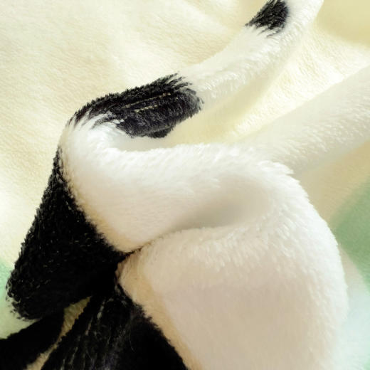 【换季出清】自然醒小清新印花牛奶绒床上四件套冬季加厚双面绒珊瑚绒被套床单三件套4NH166 商品图11