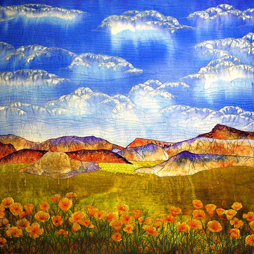 美国侠客渗透颜料 商品图1