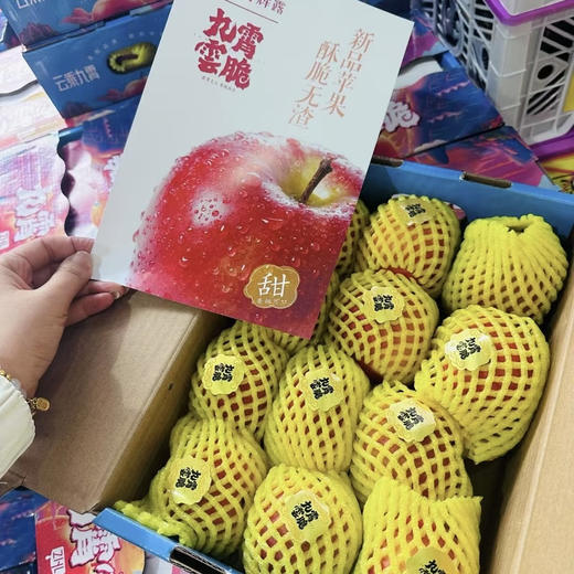 九霄云脆苹果4斤礼盒装10~11个  小果 商品图1