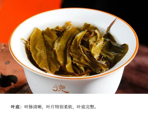 生普 | 德丰昌 2024年 巅峰 ·倚邦之巅 大黑树林 古树生茶 限量发售 357g/饼 商品图6