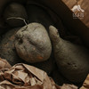 生态红薯（四川）| 合作生产*Ecological sweet potato|Partner Production 商品缩略图2