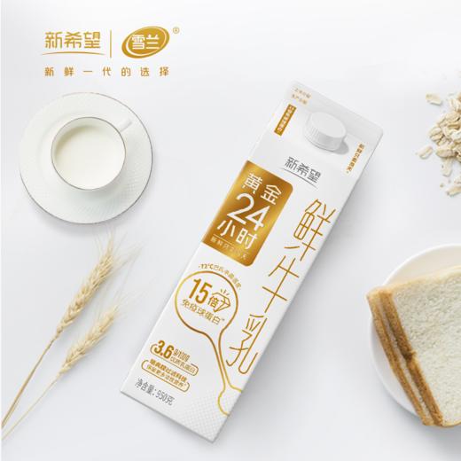 新希望雪兰黄金24小时鲜牛乳｜屋顶盒 950g(鲜奶）【GY】 商品图3