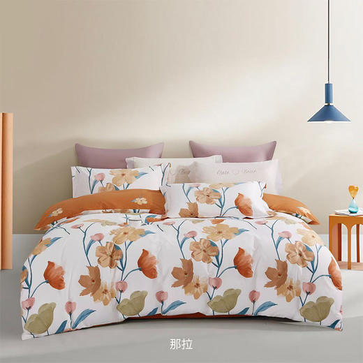 太湖雪 欧式四件套 床品套件 商品图0