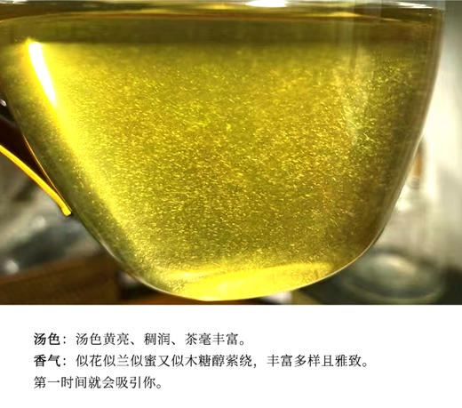 生普 | 德丰昌 2024年 巅峰 ·倚邦之巅 大黑树林 古树生茶 限量发售 357g/饼 商品图4