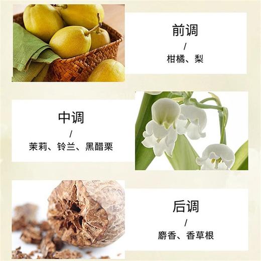 罗意威 奇迹天光香水系列 商品图4