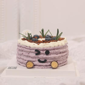 蓝莓芝士布丁kc483