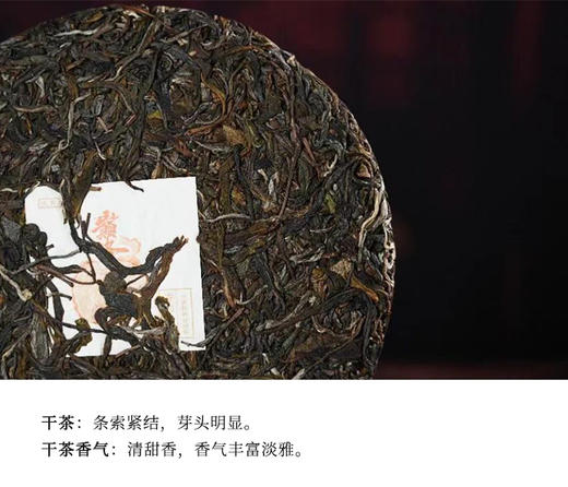 生普 | 德丰昌 2024年 巅峰 ·倚邦之巅 大黑树林 古树生茶 限量发售 357g/饼 商品图3