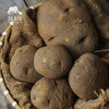 生态高原土豆（中通快递） | 合作生产*Ecological plateau potato| Partner Production 商品缩略图4