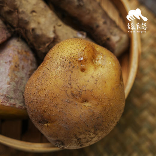 生态高原土豆（中通快递） | 合作生产*Ecological plateau potato| Partner Production 商品图1