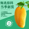鲜记 芒果干388g 博士帽罐装 酸甜可口 浓郁果香 饱满多肉 48小时 商品缩略图3