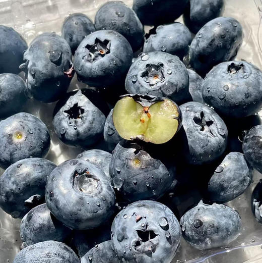【产地优选】9.9元每盒    云南蓝莓（盒） 商品图4