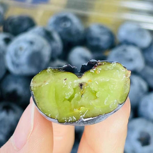 【产地优选】9.9元每盒    云南蓝莓（盒） 商品图2