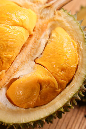 马来西亚·黑刺榴莲 包5房