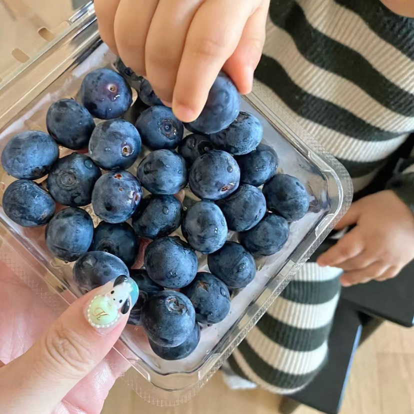 【产地优选】9.9元每盒    云南蓝莓（盒）