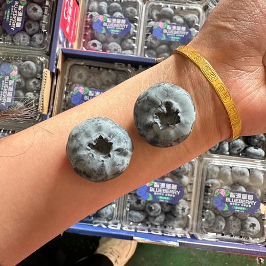 【产地优选】9.9元每盒    云南蓝莓（盒） 商品图3