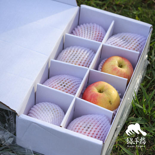 生态烟台满满苹果 | 合作生产*Ecological Yantai apple| Partner Production 商品图3