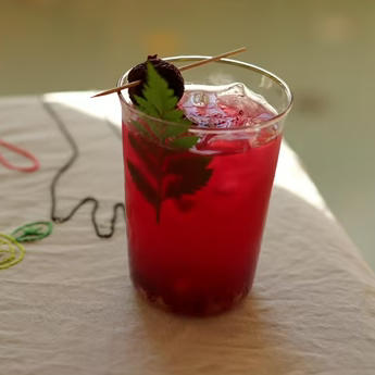 紫苏杨梅 商品图0