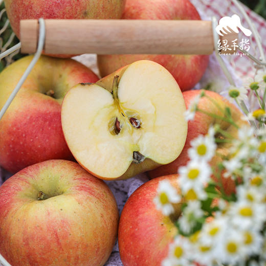 生态烟台满满苹果 | 合作生产*Ecological Yantai apple| Partner Production 商品图1