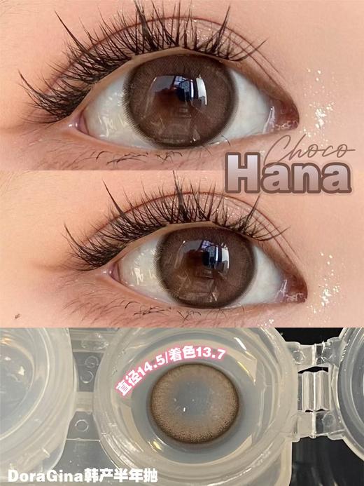 Doragina日抛·茶包仔·14.5mm中大着色·10片日抛 商品图3