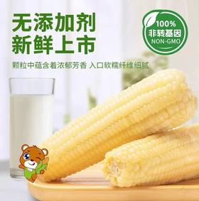 2025新生态黄甜糯玉米家庭装*8穗&白甜糯玉米家庭装*8穗