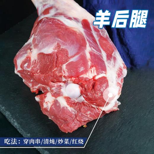 一价到底 【半只羊礼盒】精品原切乳羔羊 保留纯正羊本味  肉质鲜美 不腥不膻  简单烹饪 畅享美味（2.11-2.24停发） 商品图3