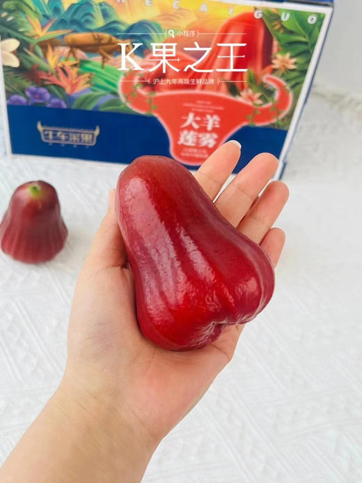 黑金刚莲雾——完熟采摘，脆甜爽口，水份足，家庭常备水果之一 商品图7