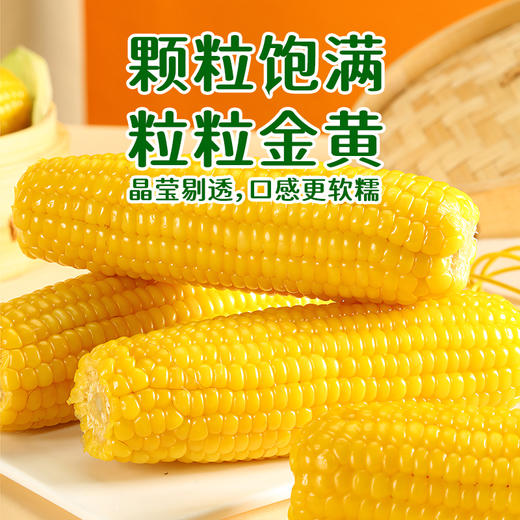 2025新生态黄甜糯玉米家庭装*8穗&白甜糯玉米家庭装*8穗 商品图4