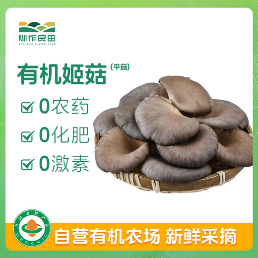 有机平菇（姬菇）150g 商品图0