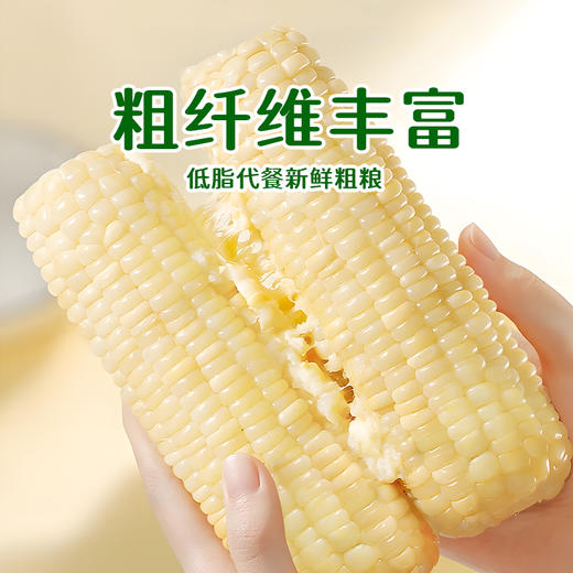2025新生态黄甜糯玉米家庭装*8穗&白甜糯玉米家庭装*8穗 商品图6