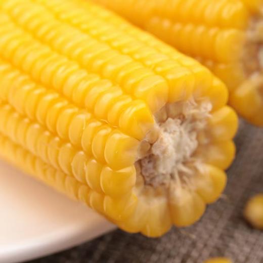 2025新生态黄甜糯玉米家庭装*8穗&白甜糯玉米家庭装*8穗 商品图1