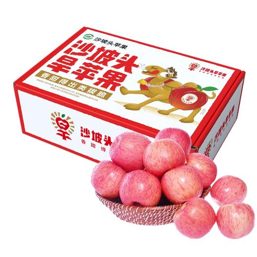 宁夏·沙坡头旱苹果-沙地苹果红富士礼盒装【水果】 商品图1