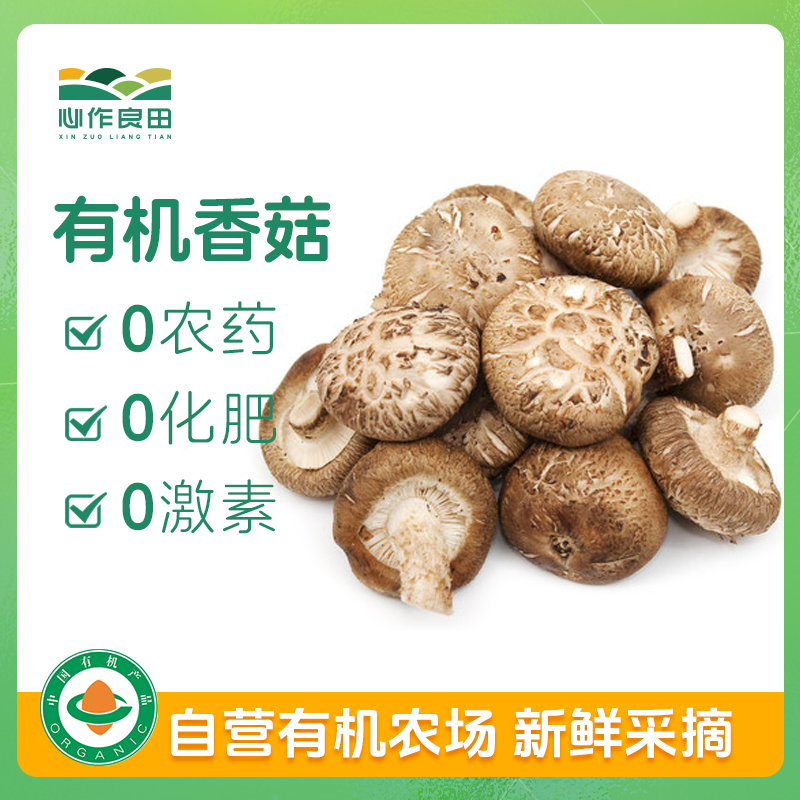 有机香菇 100g