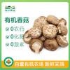 有机香菇 100g 商品缩略图0