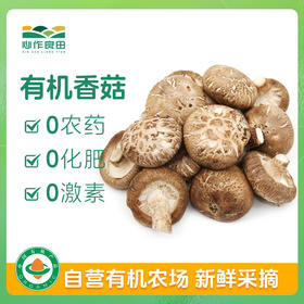 有机香菇 100g