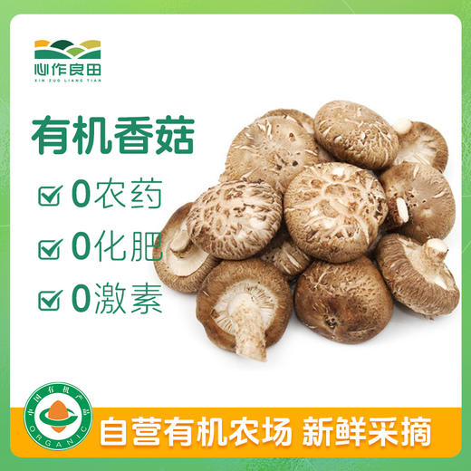有机香菇 100g 商品图0