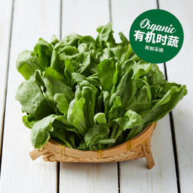 有机茼蒿 Organic Lettuce 200g/袋