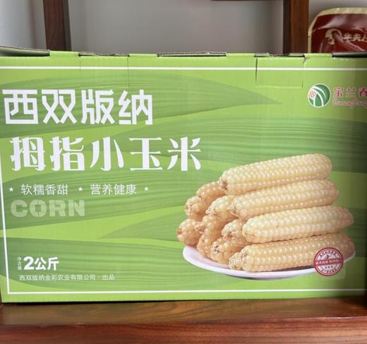 （作废）【金蛇献瑞】【特产】西双版纳拇指小玉米【BN】 商品图0