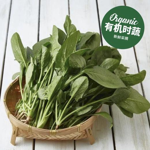 有机菠菜 Organic Spinach 200g/袋 商品图0