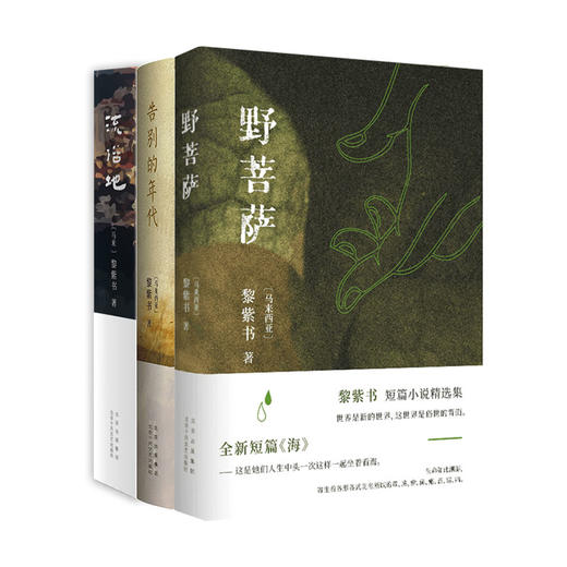 黎紫书：告别的年代+流俗地+野菩萨 商品图1
