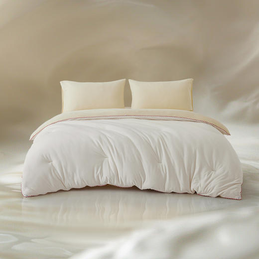 【换季出清】自然醒Creamsoft® 奶油小方捏捏被奶丝云朵被子冬被加厚保暖春秋被单人学生宿舍空调棉被LFS 商品图6