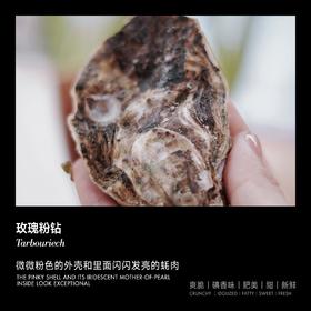 【9折现货】玫瑰粉钻生蚝 (Tarbouriech)