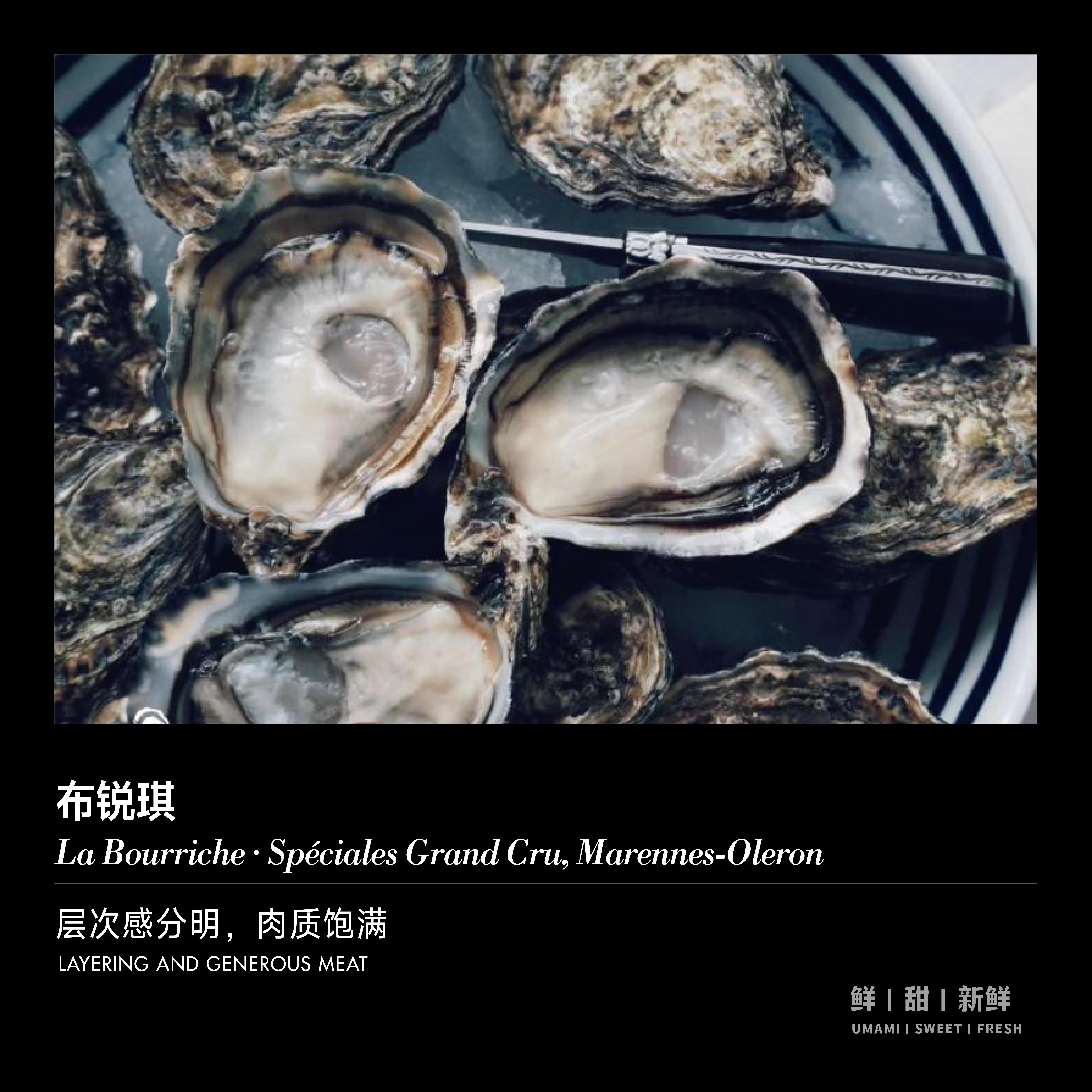 【单只现货】布锐琪·马奥伦甄选生蚝(La Bourriche · Spéciales Grand Cru, Marennes-Oleron)