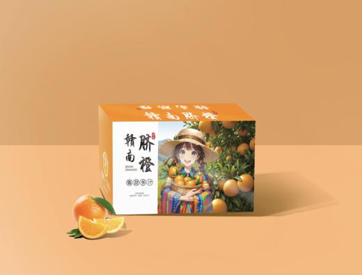 江西赣南脐橙（含箱重量）10斤装彩箱（截单后48小时内陆续发货~） 商品图2