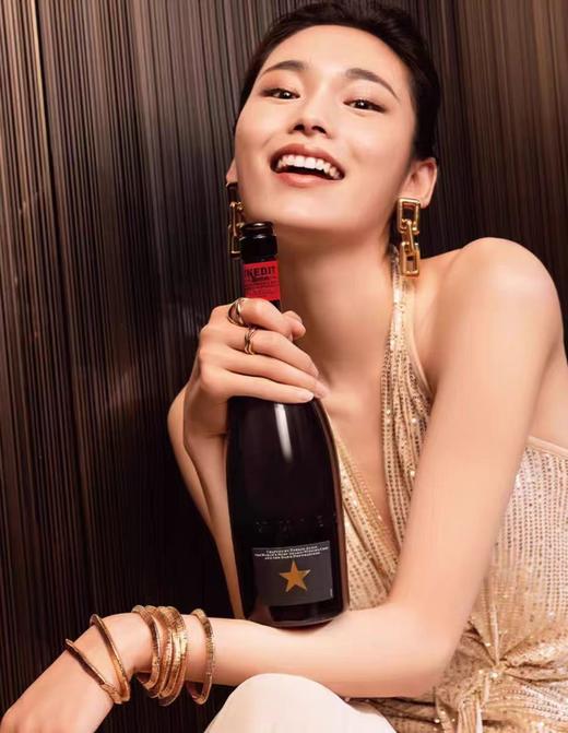 艾帝达姆啤酒 原产国：西班牙 酒精度：4.8度 麦芽度：11.5度  750ml/瓶 商品图1