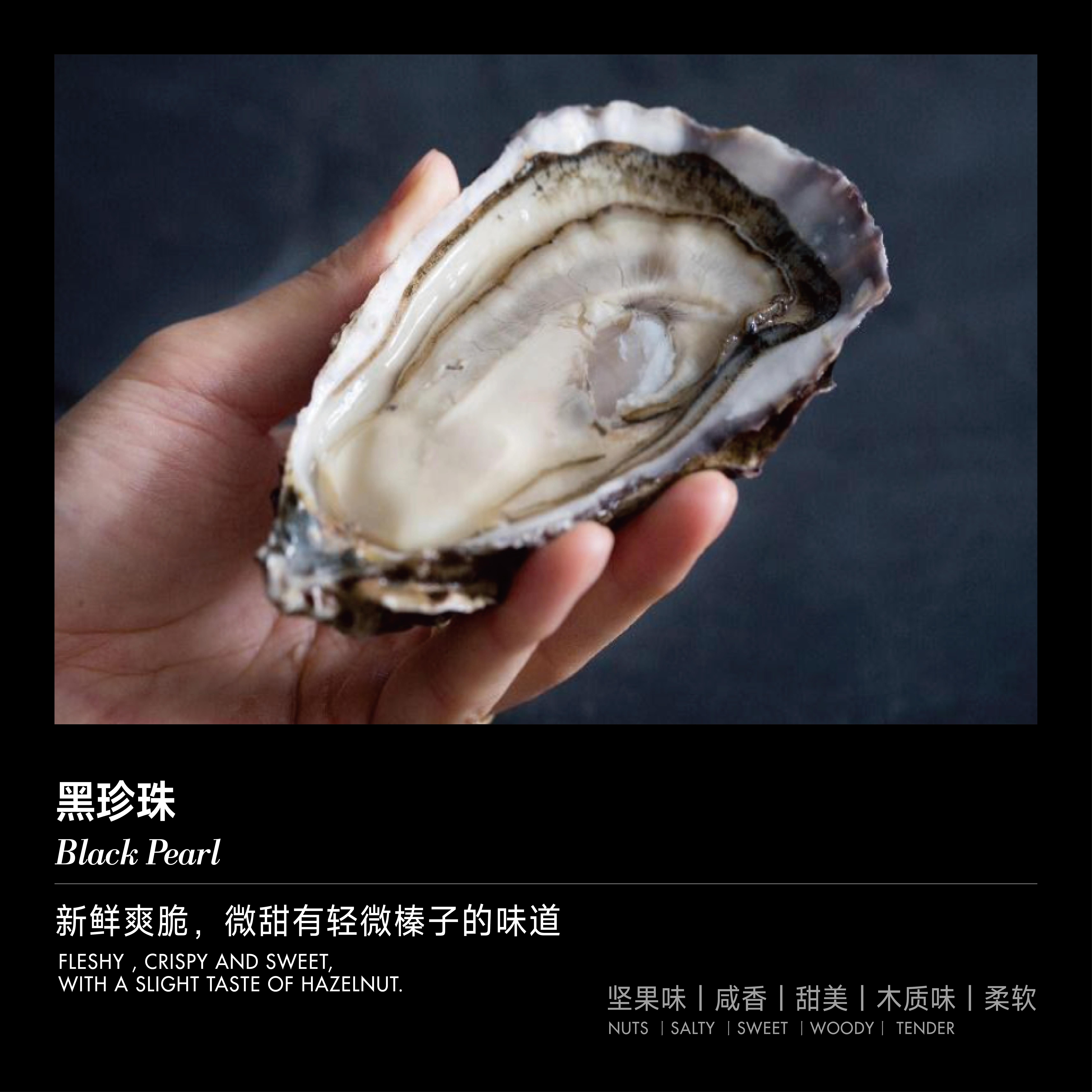 【单只现货】黑珍珠生蚝 (Black Pearl)