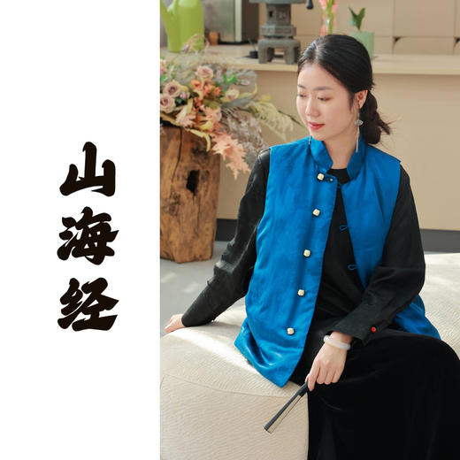 【抖音专属】山海经•新中式羽绒马甲（24803068沧渊） 商品图0