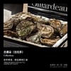 【单只现货】吉娜朵（吉拉多）生蚝（Gillardeau） 商品缩略图0