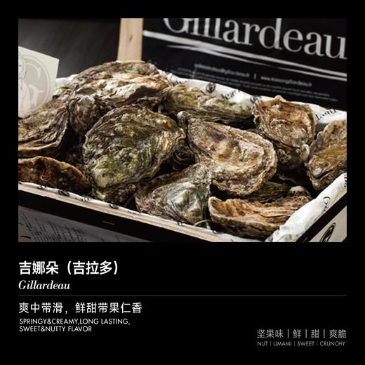 【单只现货】吉娜朵（吉拉多）生蚝（Gillardeau） 商品图0
